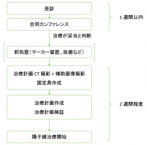 受診から陽子線治療までの流れ