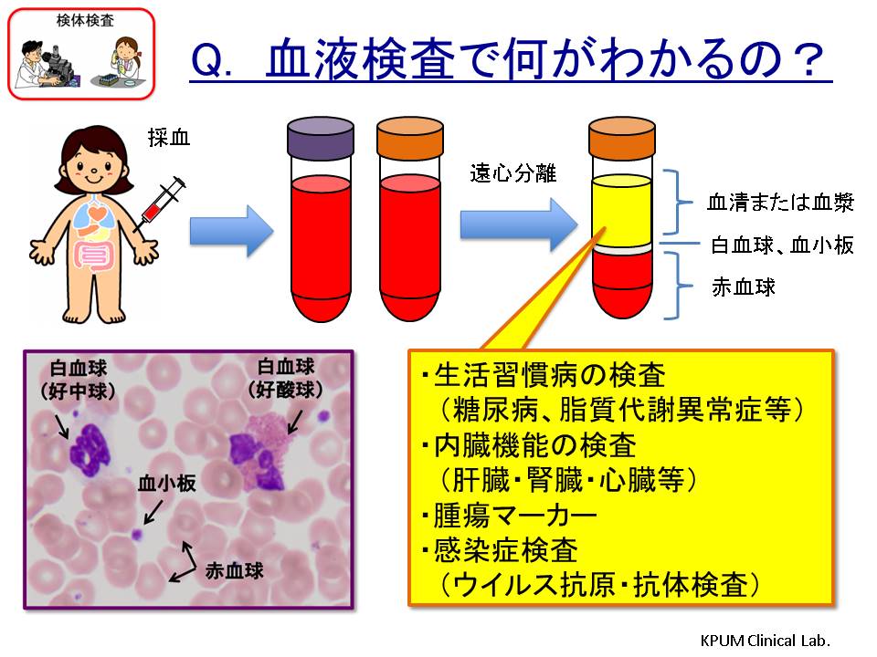 京都府立医科大学附属病院は、厚生労働省の承認を受けた特定機能病院です。京都府立医大病院、京都府立病院、京都府立医科大学病院、京都府立大学病院の名称で親しまれています。臨床検査技術課